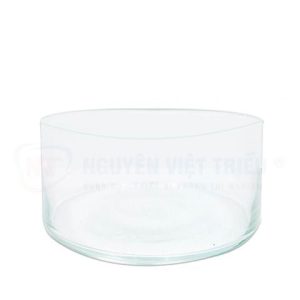 Hộp lồng tiêu bản 1.1 lít